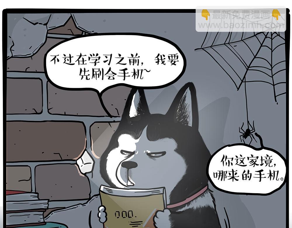 第447话 消息盲盒12