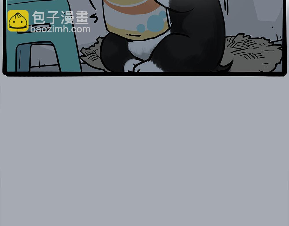 第447话 消息盲盒13
