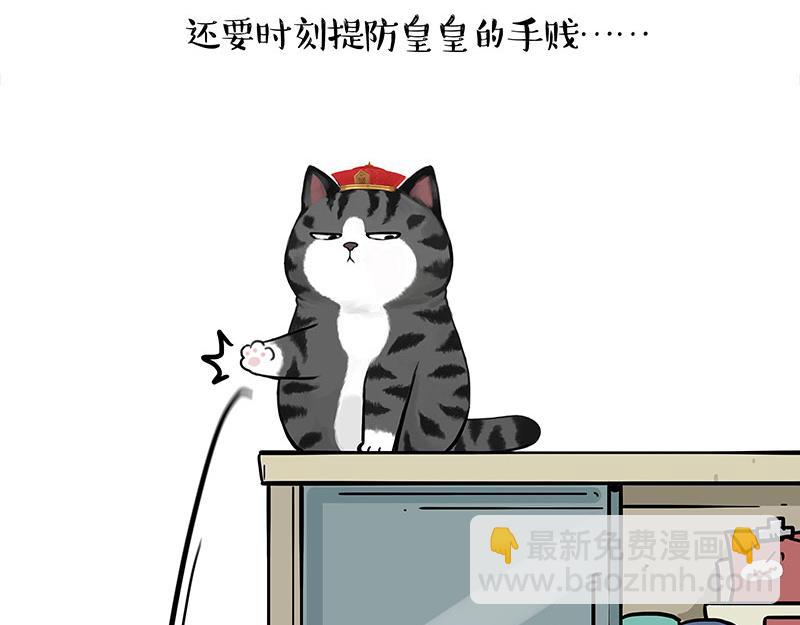 第447话 消息盲盒18
