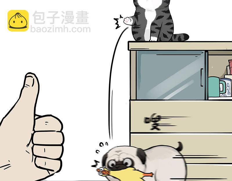 第447话 消息盲盒23