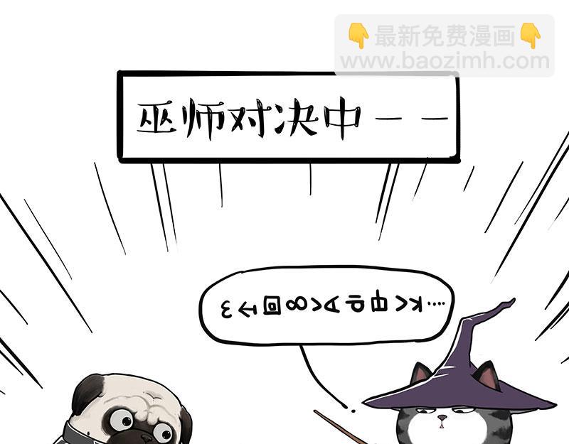第447话 消息盲盒25