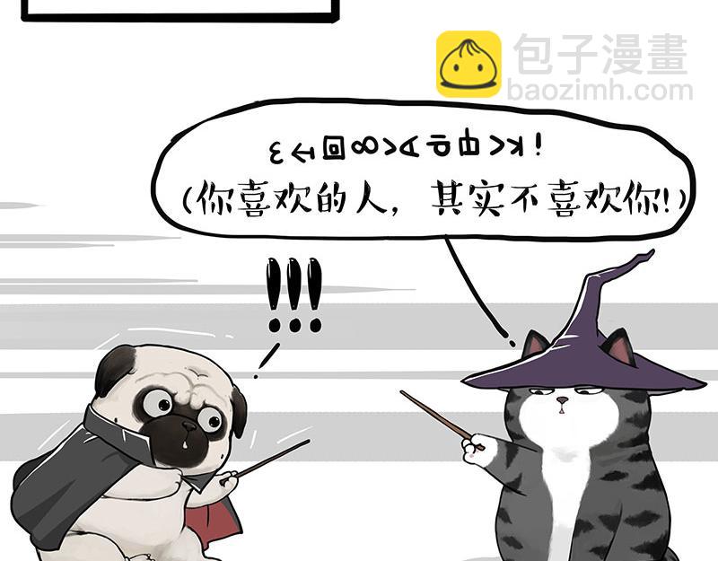 第447话 消息盲盒31