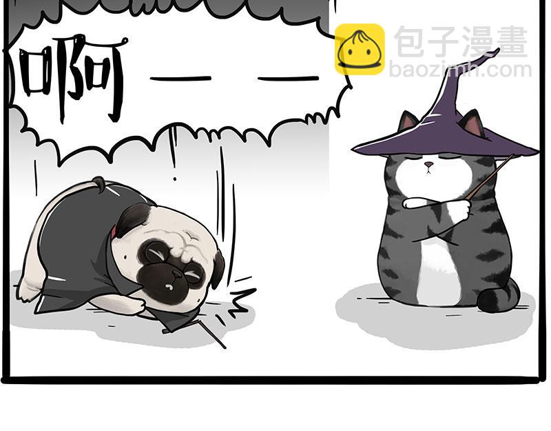 第447话 消息盲盒33