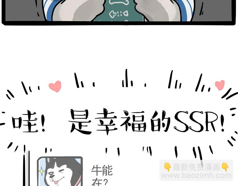 第447话 消息盲盒7
