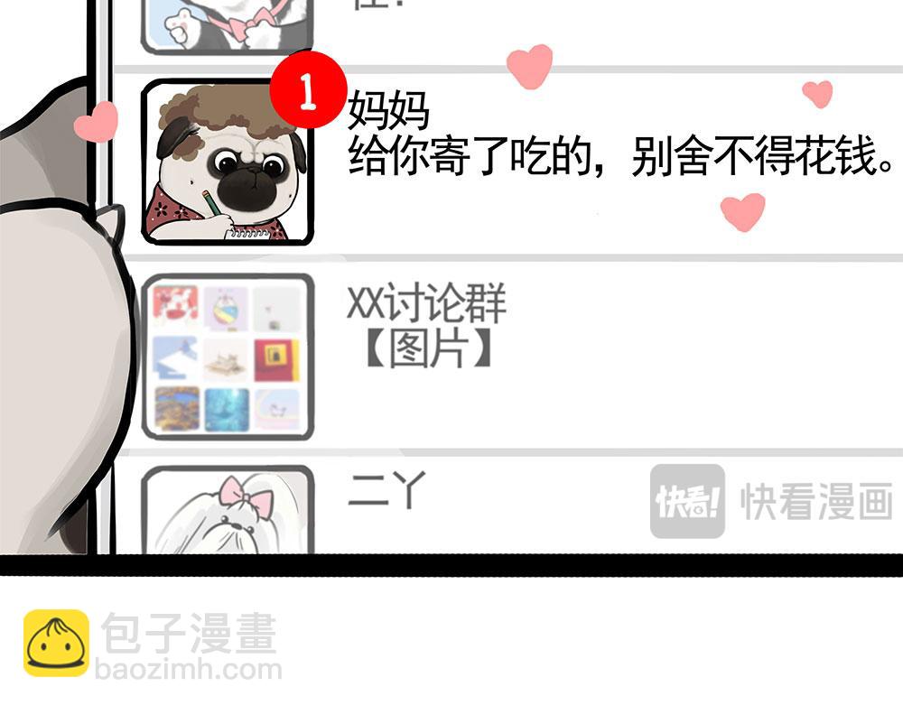 第447话 消息盲盒8