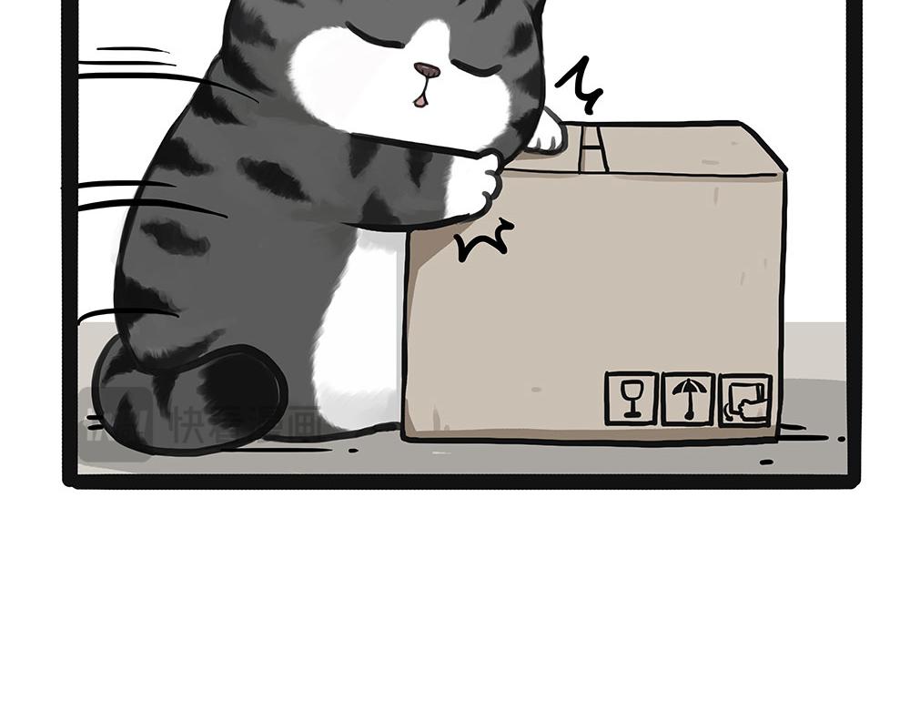 第449话 11114