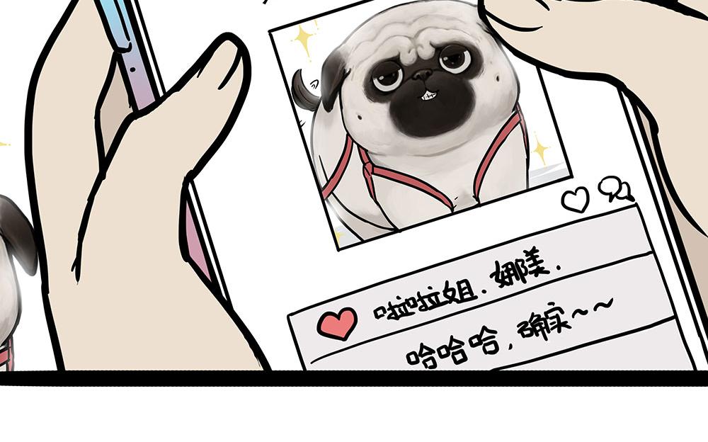 第450话 黑黑过来！24