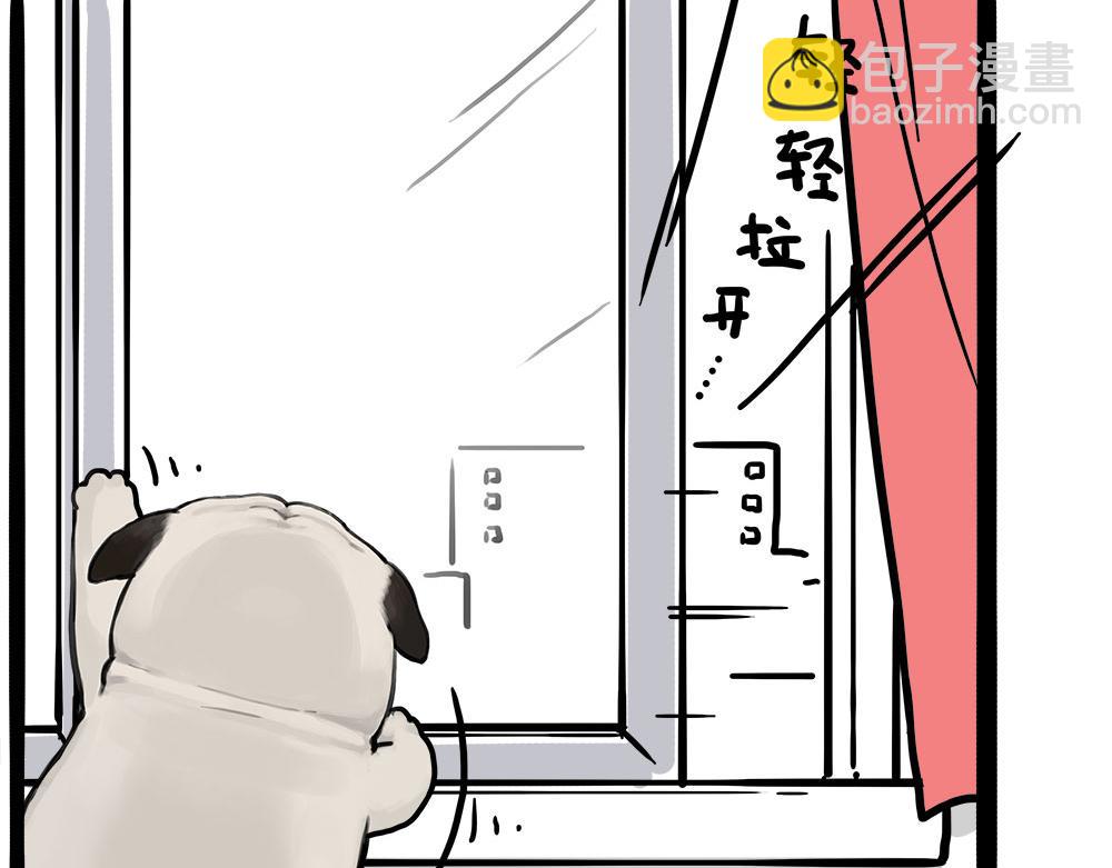 第450话 黑黑过来！38