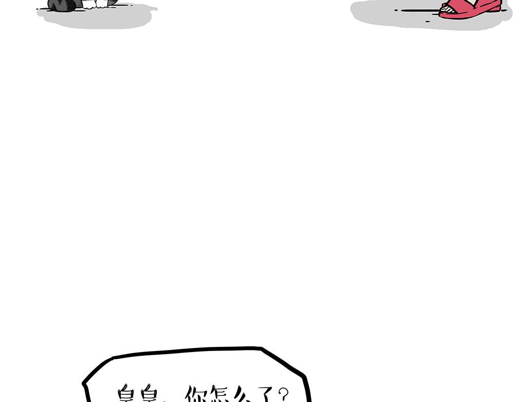 第450话 黑黑过来！5