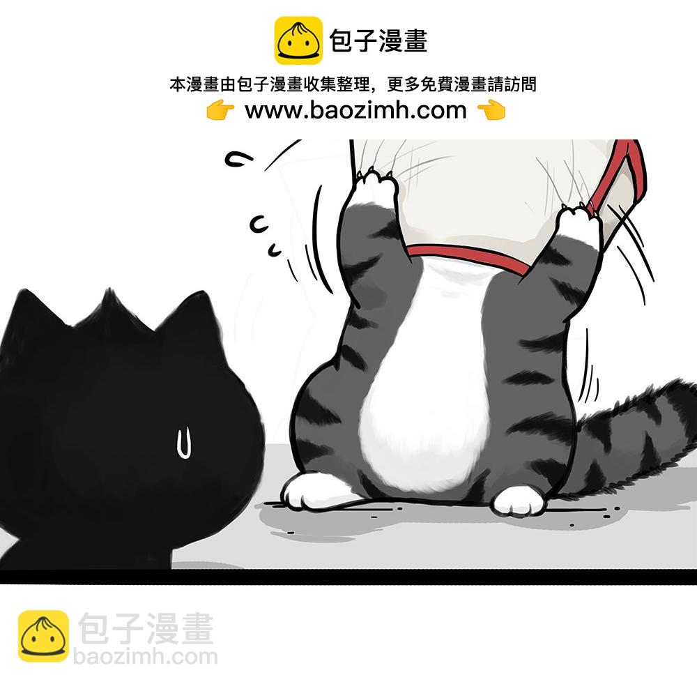 第451话 越养越像47