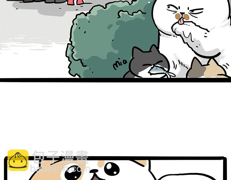 第453话 解冻5