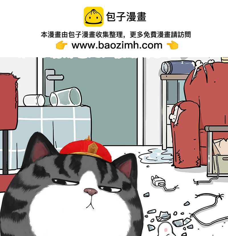 第456话 猫猫的年终总结1