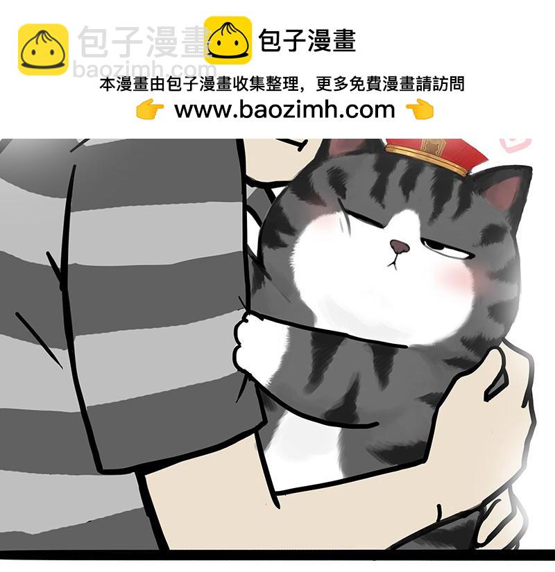 第456话 猫猫的年终总结11