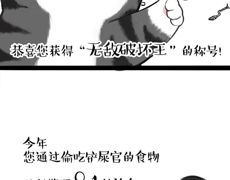 第456话 猫猫的年终总结2