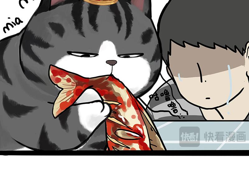 第456话 猫猫的年终总结6