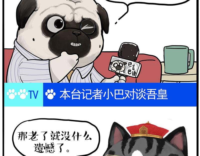 第459话 了不起56