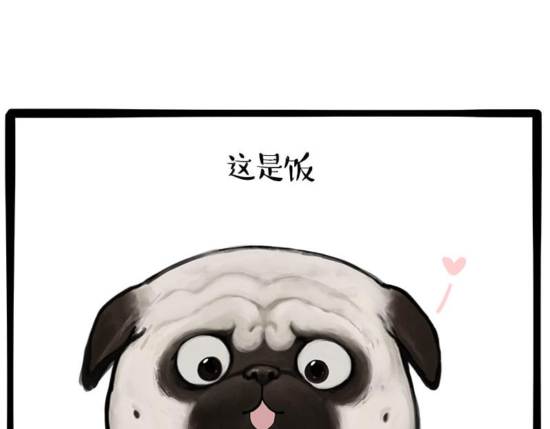 第462话 鸽王（被迫版）48