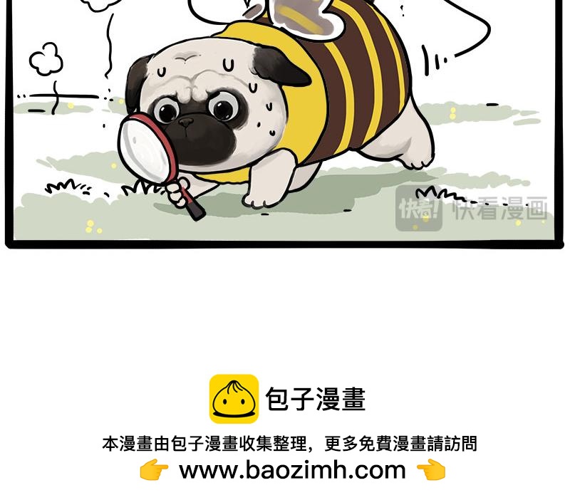 第462话 鸽王（被迫版）67