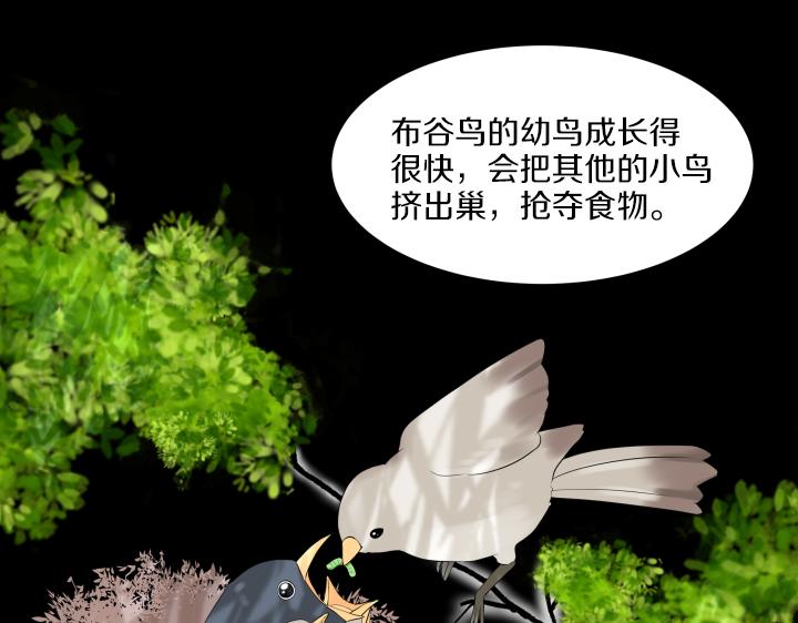 第23话 家庭作业70