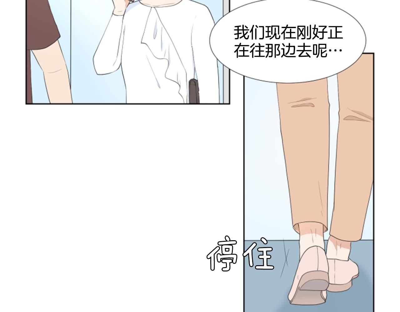第41话 发表会41