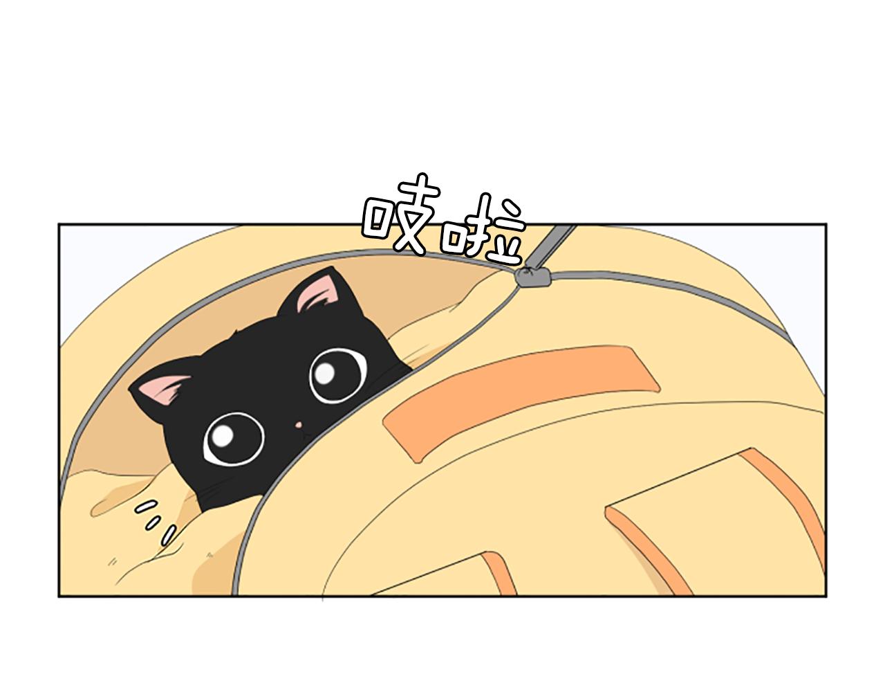 番外2 新成员20