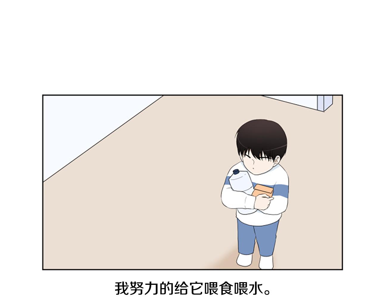 番外6 约定5