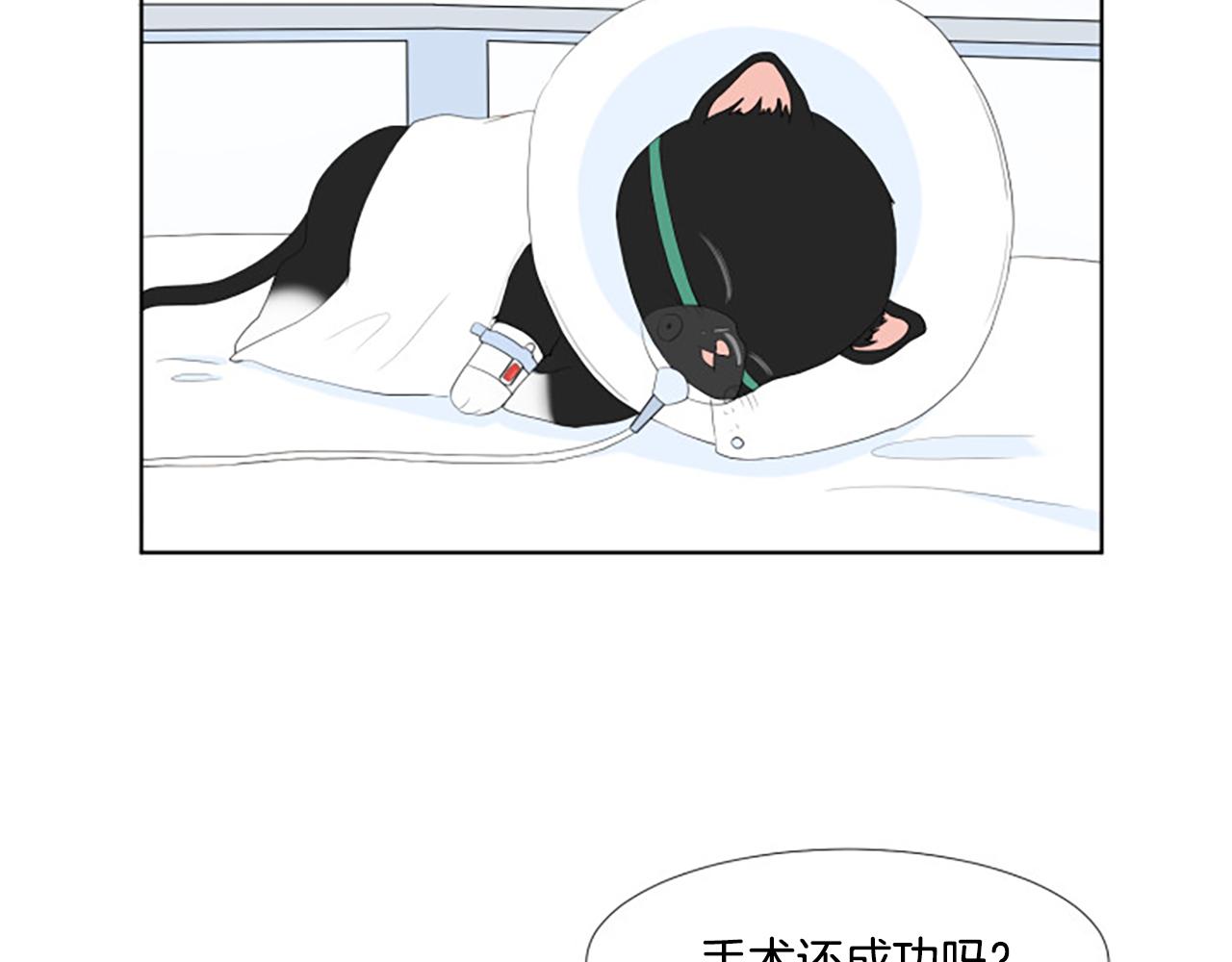 番外6 约定52