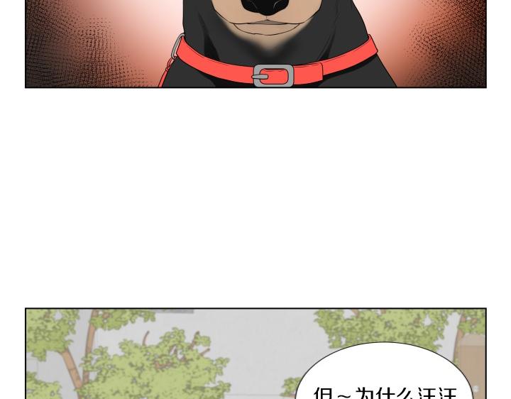 第1话 甜蜜新生活175