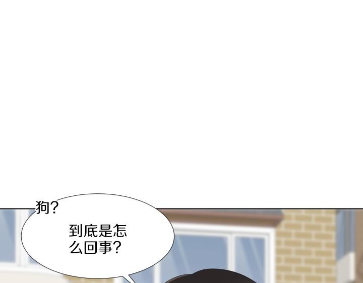 第2话 萌宝的新伙伴33