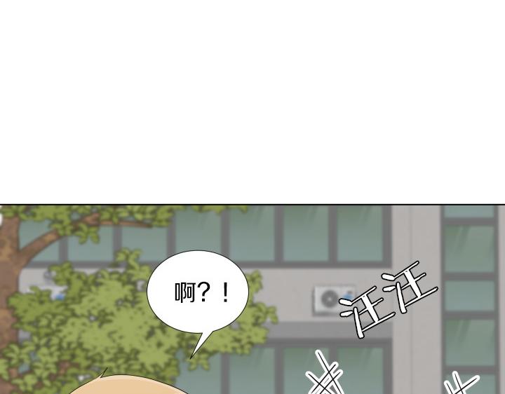 第2话 萌宝的新伙伴6