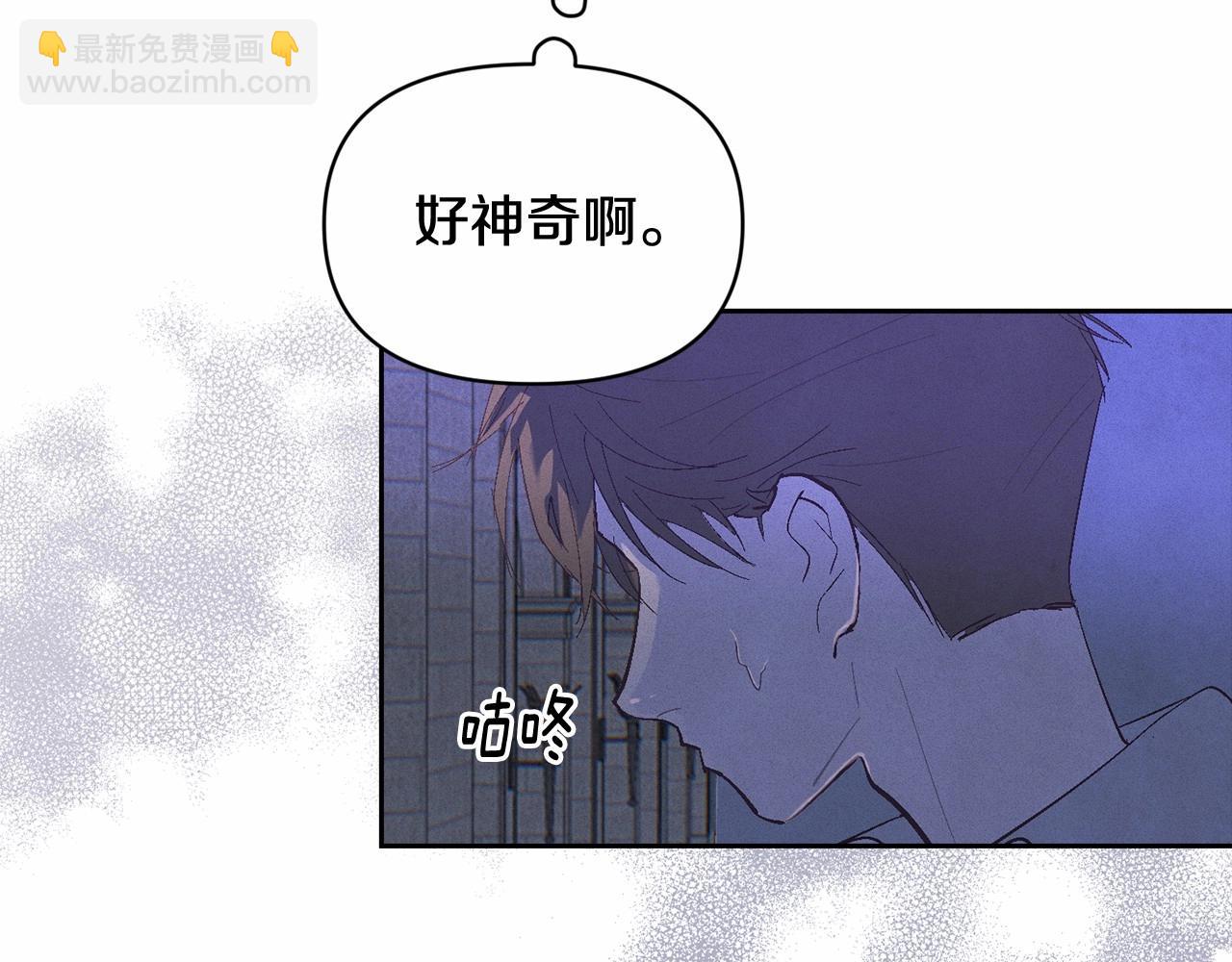 第二季回归 想保护的人12