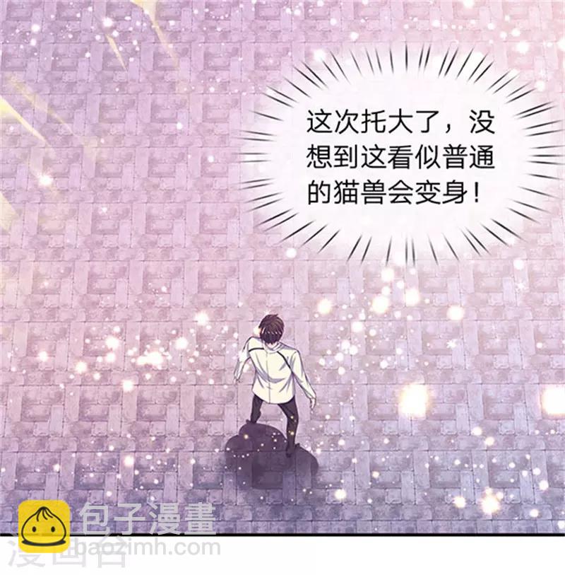 第78话 撸猫能手17