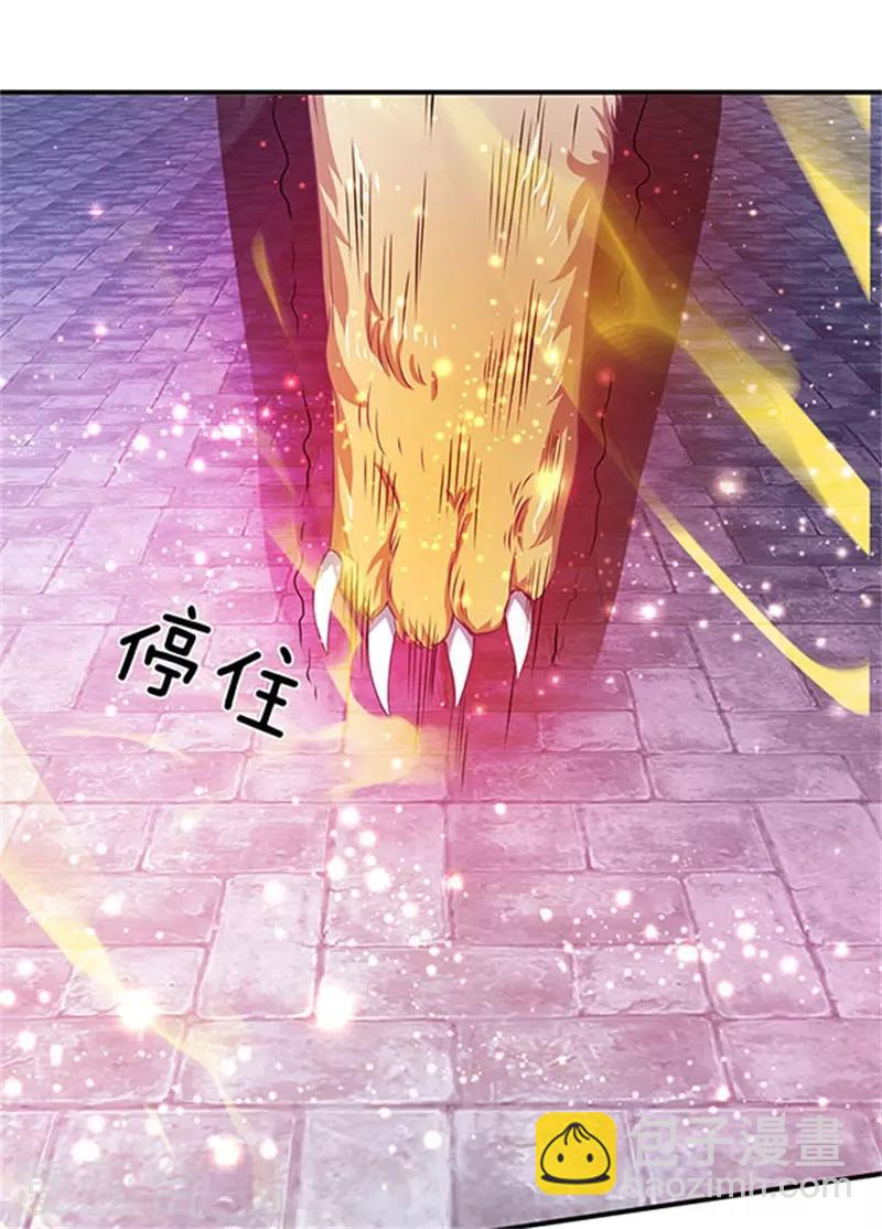 第78话 撸猫能手18