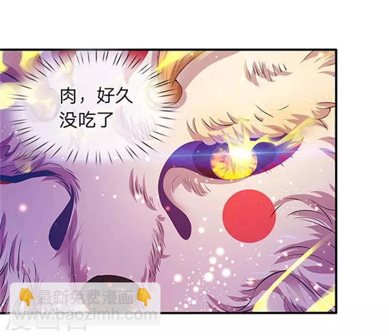 第78话 撸猫能手2