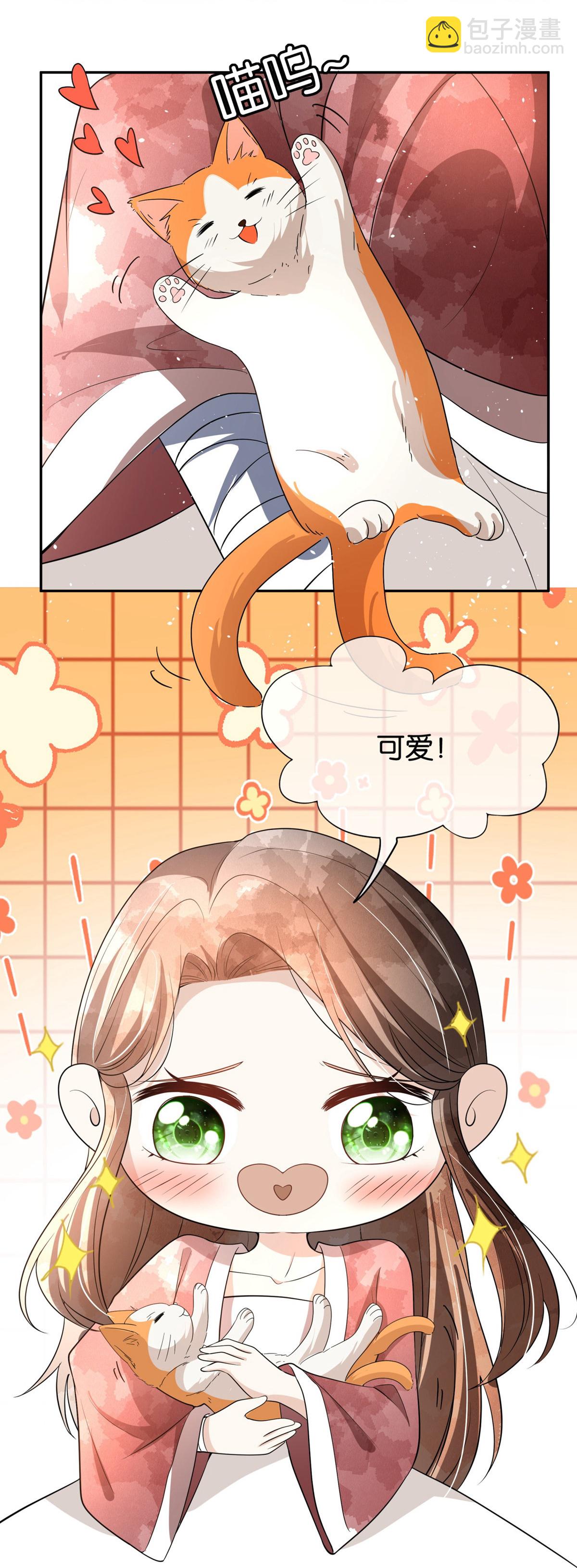 第305话 可爱的小猫咪10