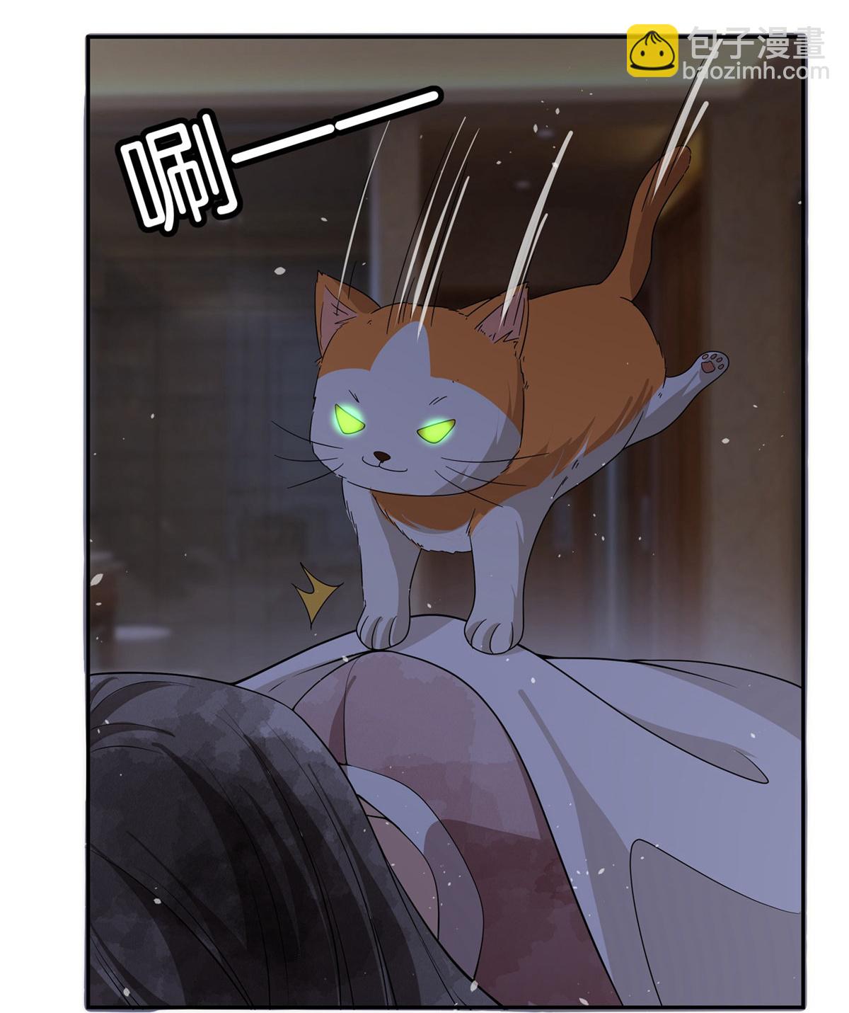 第305话 可爱的小猫咪2