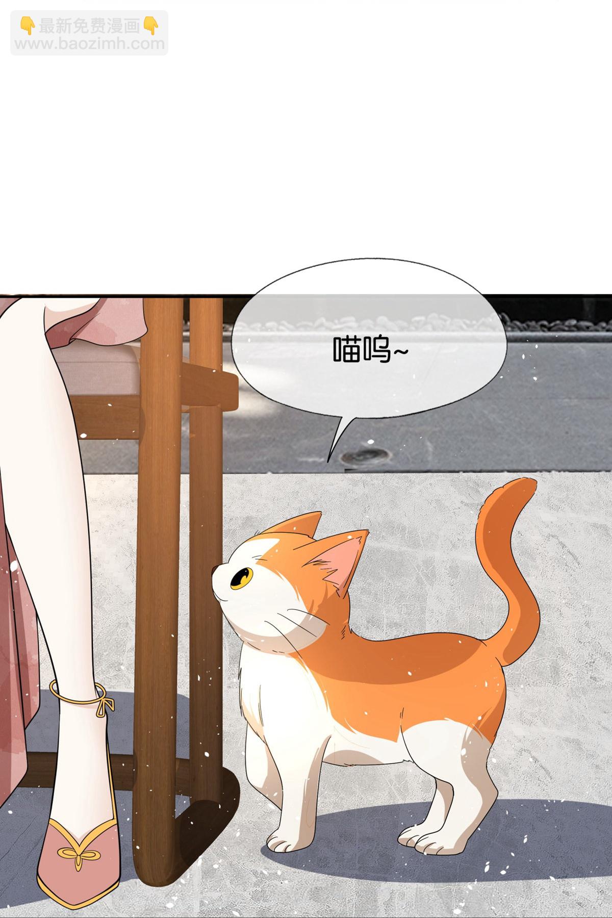 第305话 可爱的小猫咪20