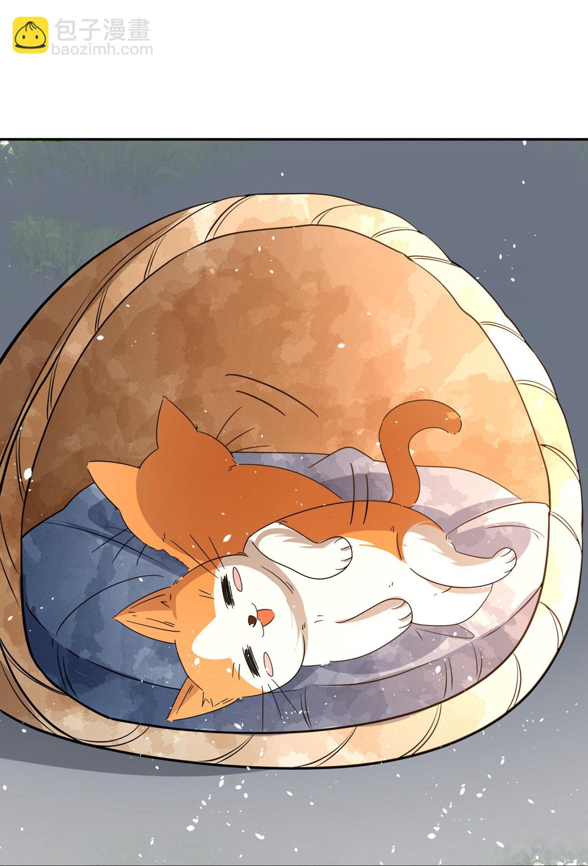 第305话 可爱的小猫咪29