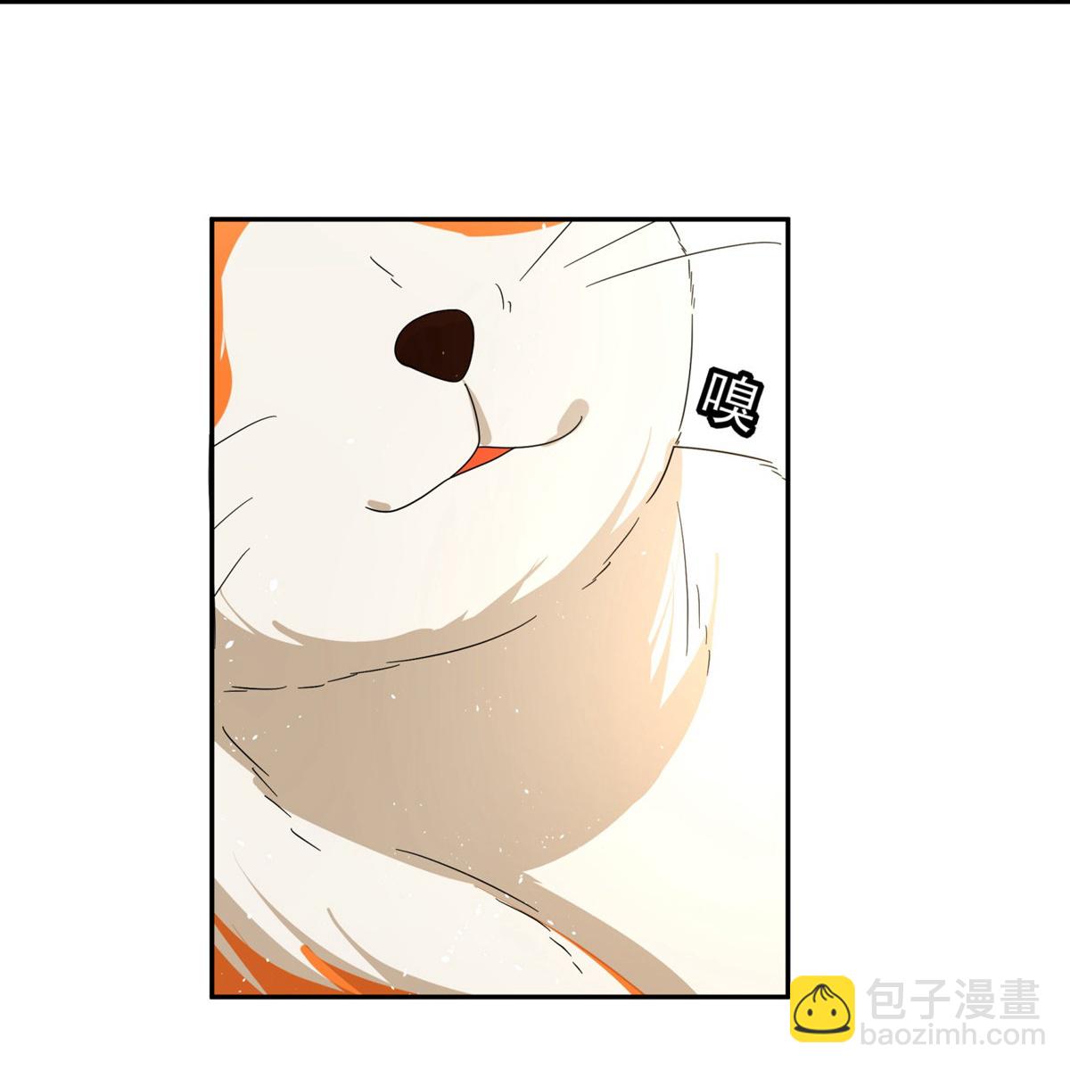 第305话 可爱的小猫咪30