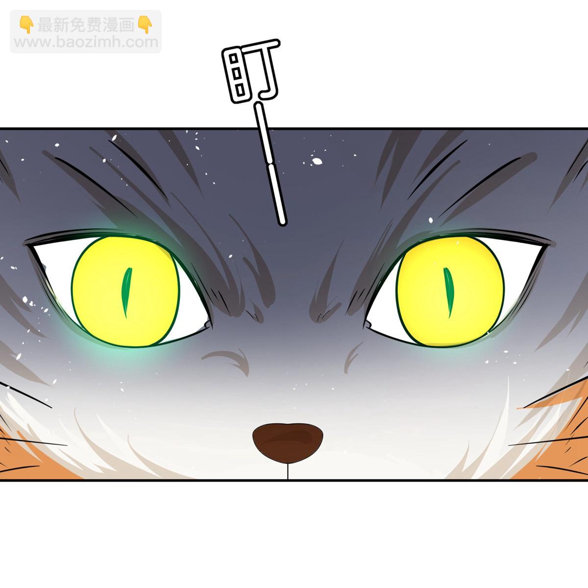 第305话 可爱的小猫咪31