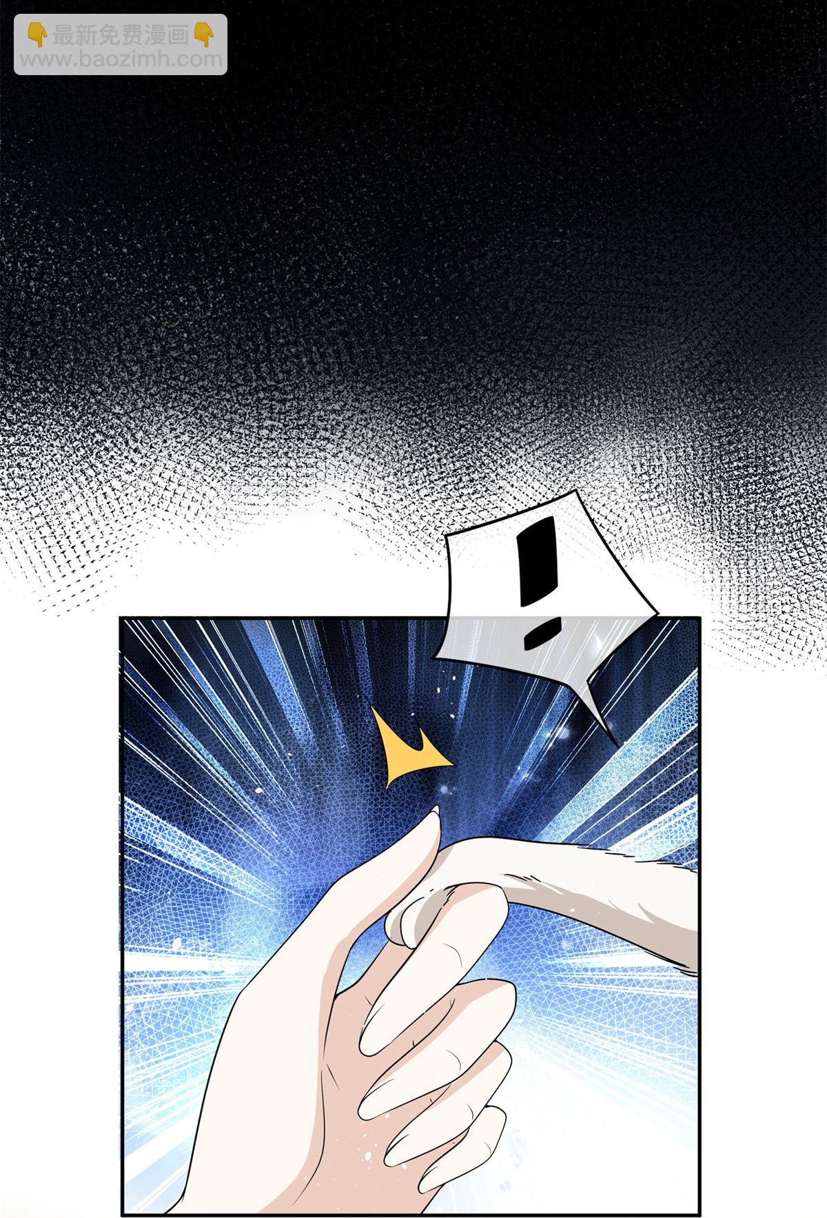 第305话 可爱的小猫咪4