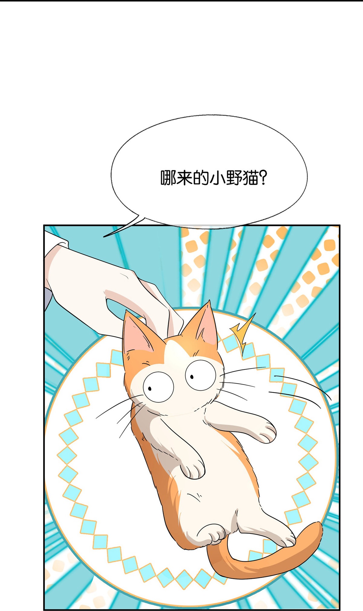 第305话 可爱的小猫咪6