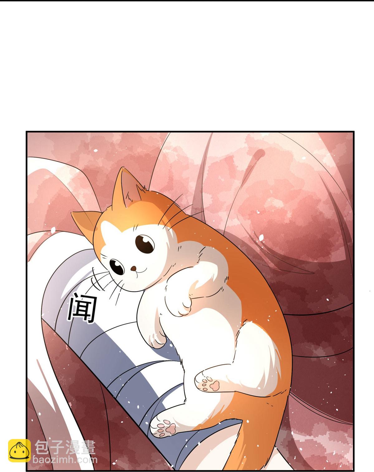 第305话 可爱的小猫咪9