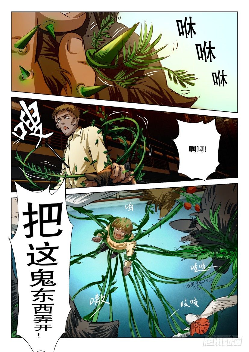 第五十七回 动/植物6