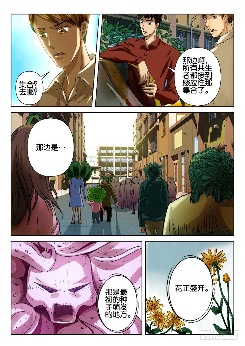 第六十六回 种子花开6