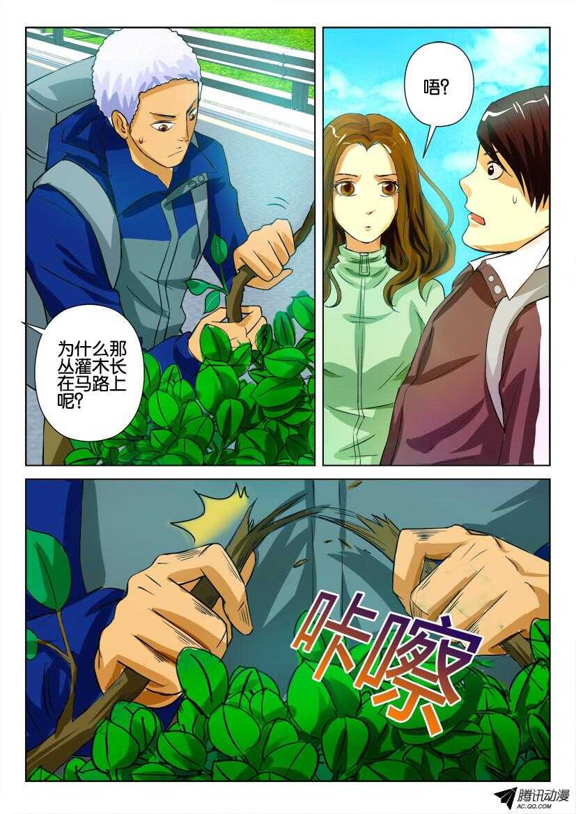 第九十一回 灌木5