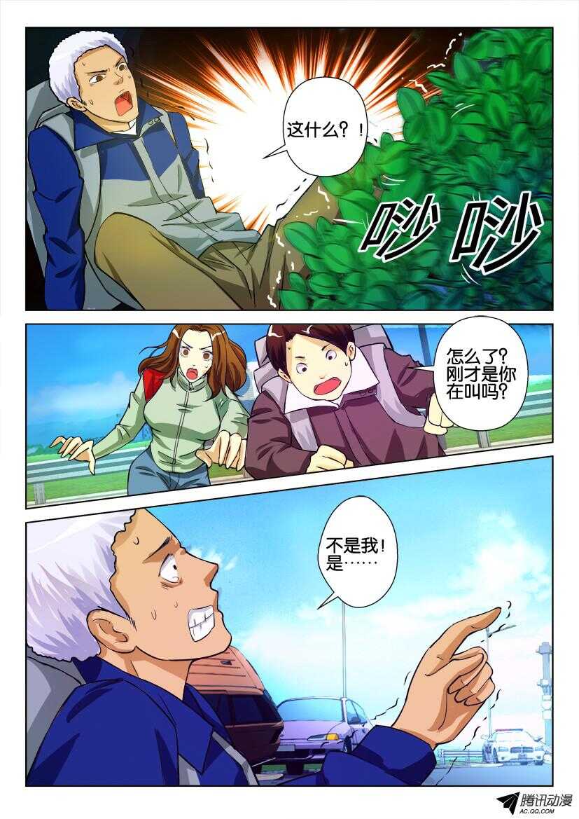 第九十一回 灌木7