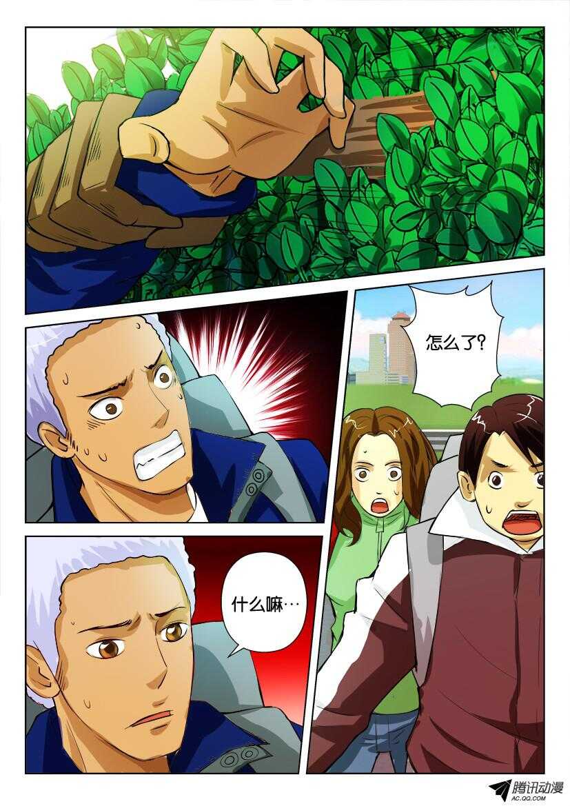 第九十一回 灌木8