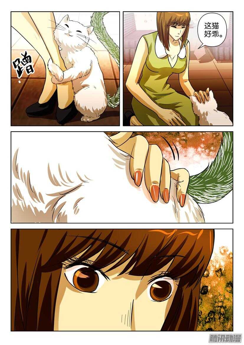 第一百六十四回 猫尾的恐惧7