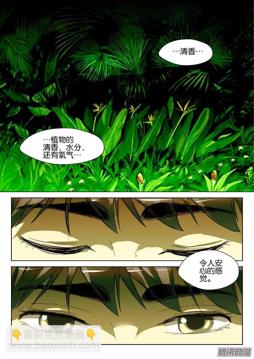 第277回 银扇草2